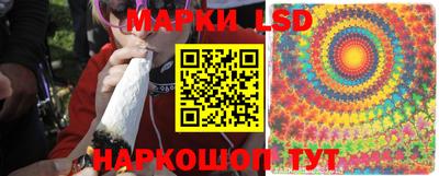 jwh Кингисепп