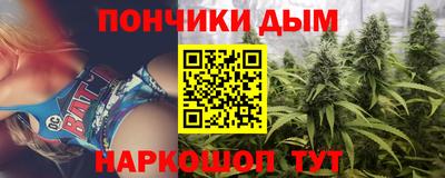 jwh Кингисепп