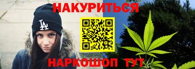 jwh Кингисепп