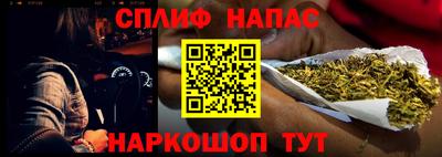 jwh Кингисепп