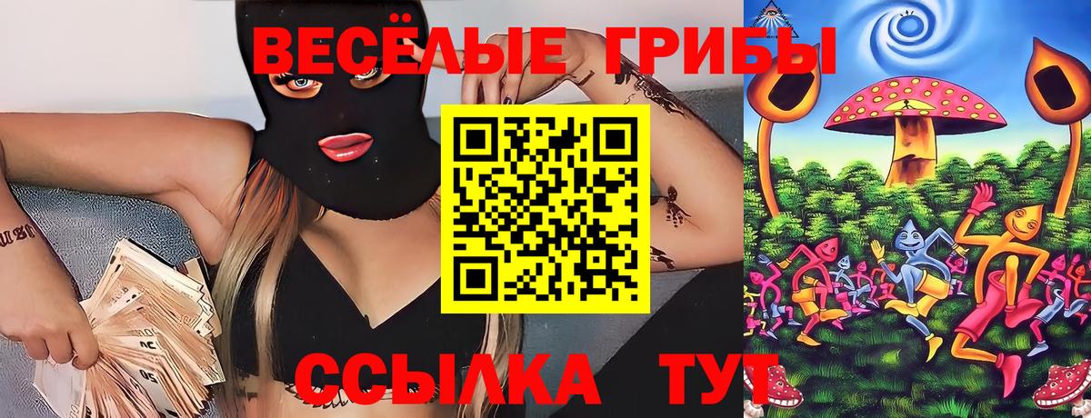 Коряжма  Галлюциногенные грибы прущие грибы  Вход с VPN 